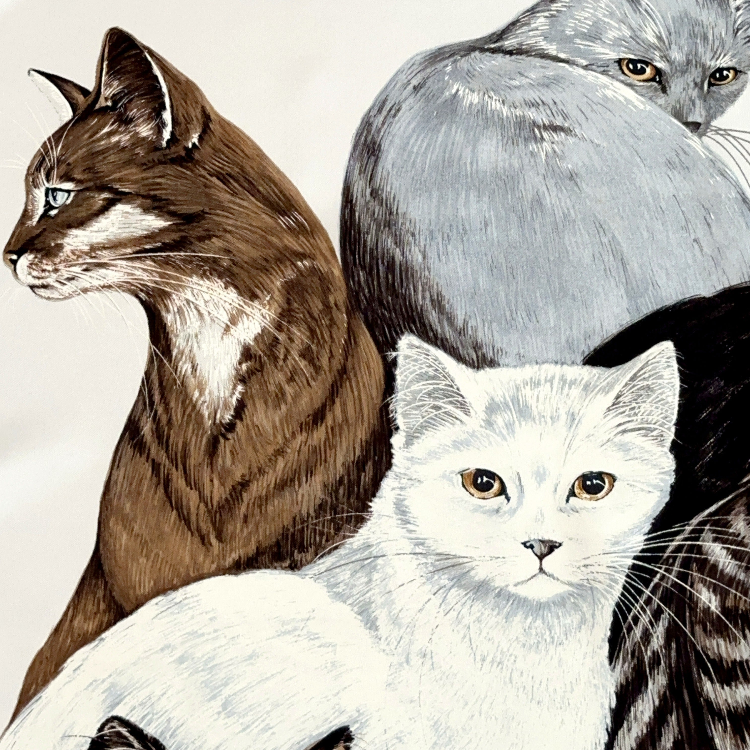 Carré Hermès Les Chats de Daphné Duchesne, 90 cm soie, détail quatre chats noir, tigré, gris British et blanc