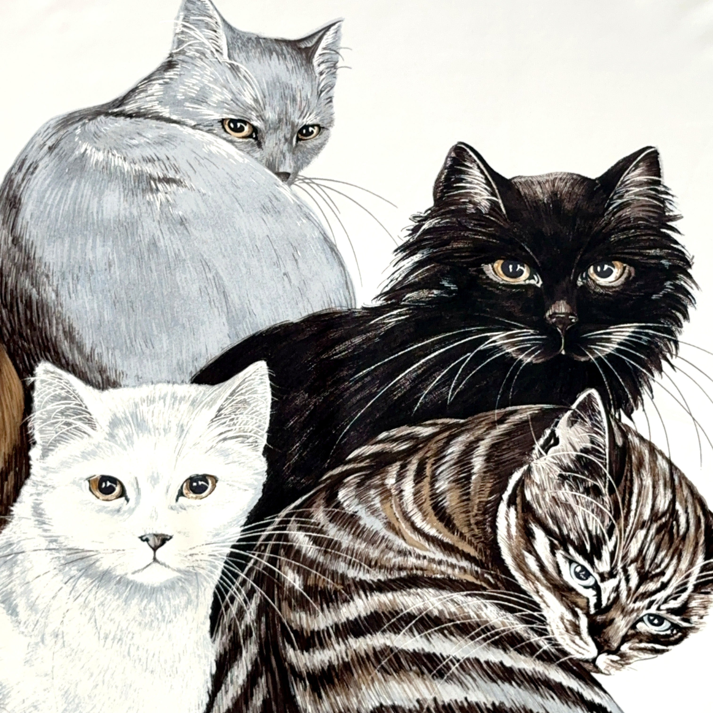 Carré Hermès Les Chats de Daphné Duchesne, cinq chat réunis