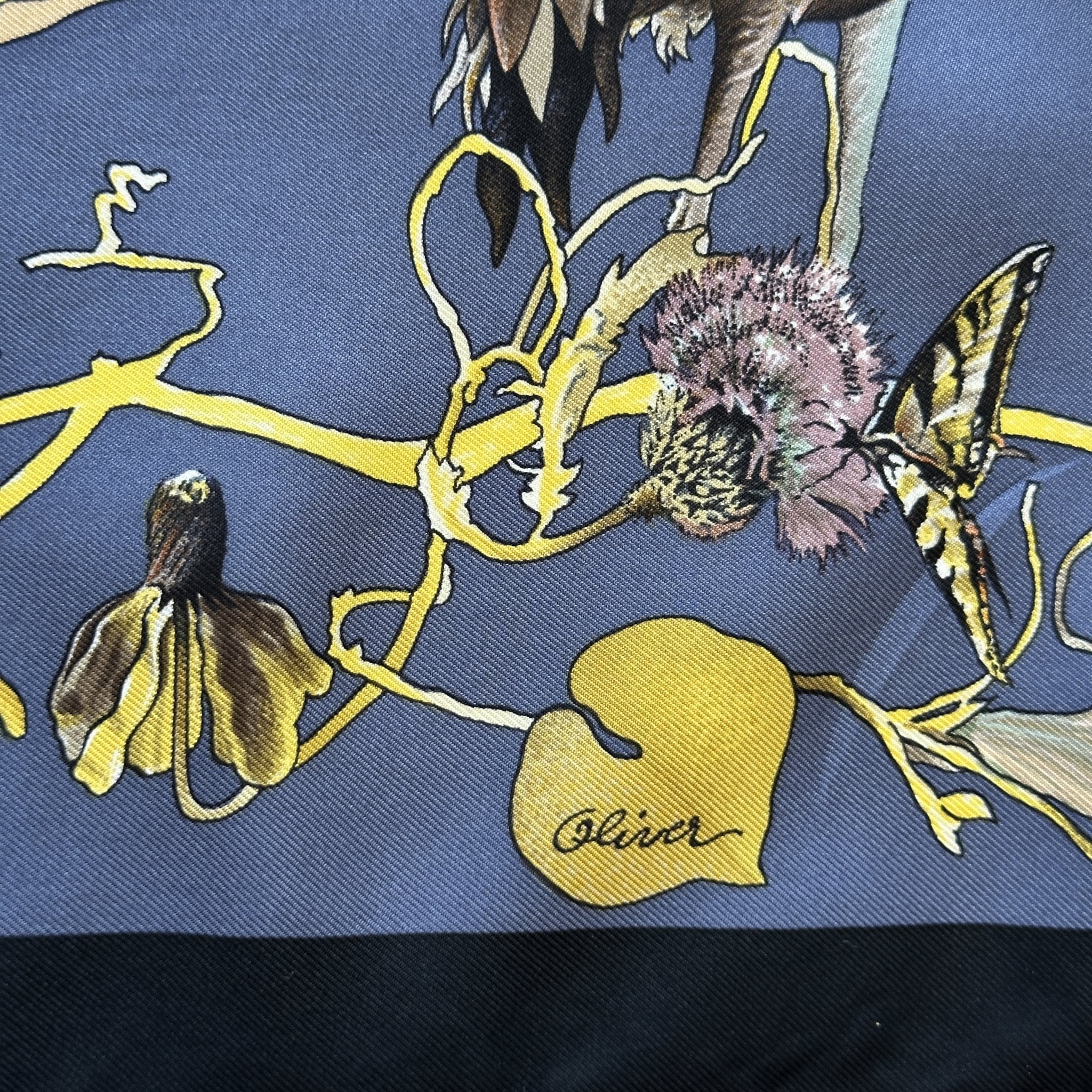 Texas Fauna and Flora - HERMES SCARF 90 CM