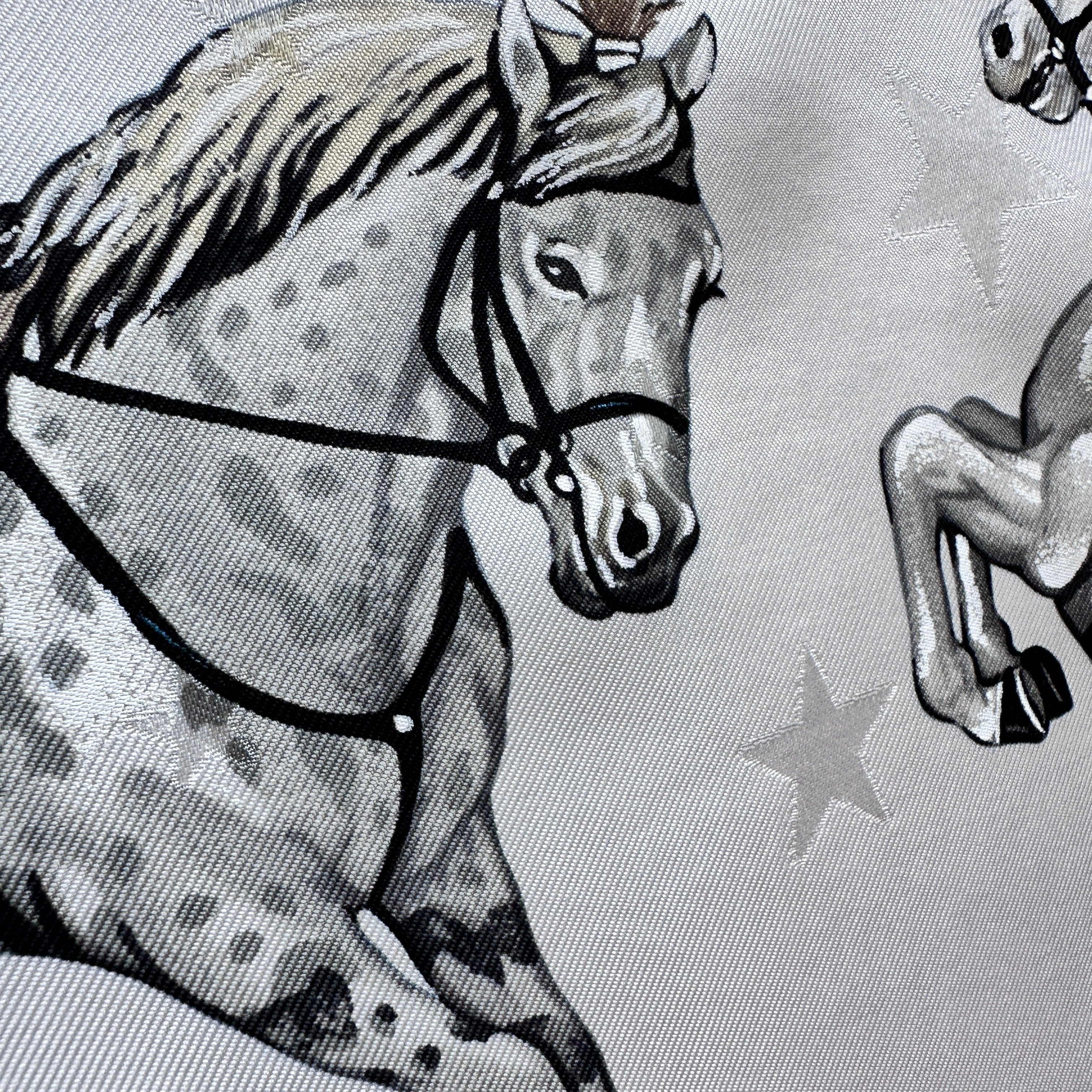 Portrait détaillé d'un cheval de cirque en camaïeu de gris.