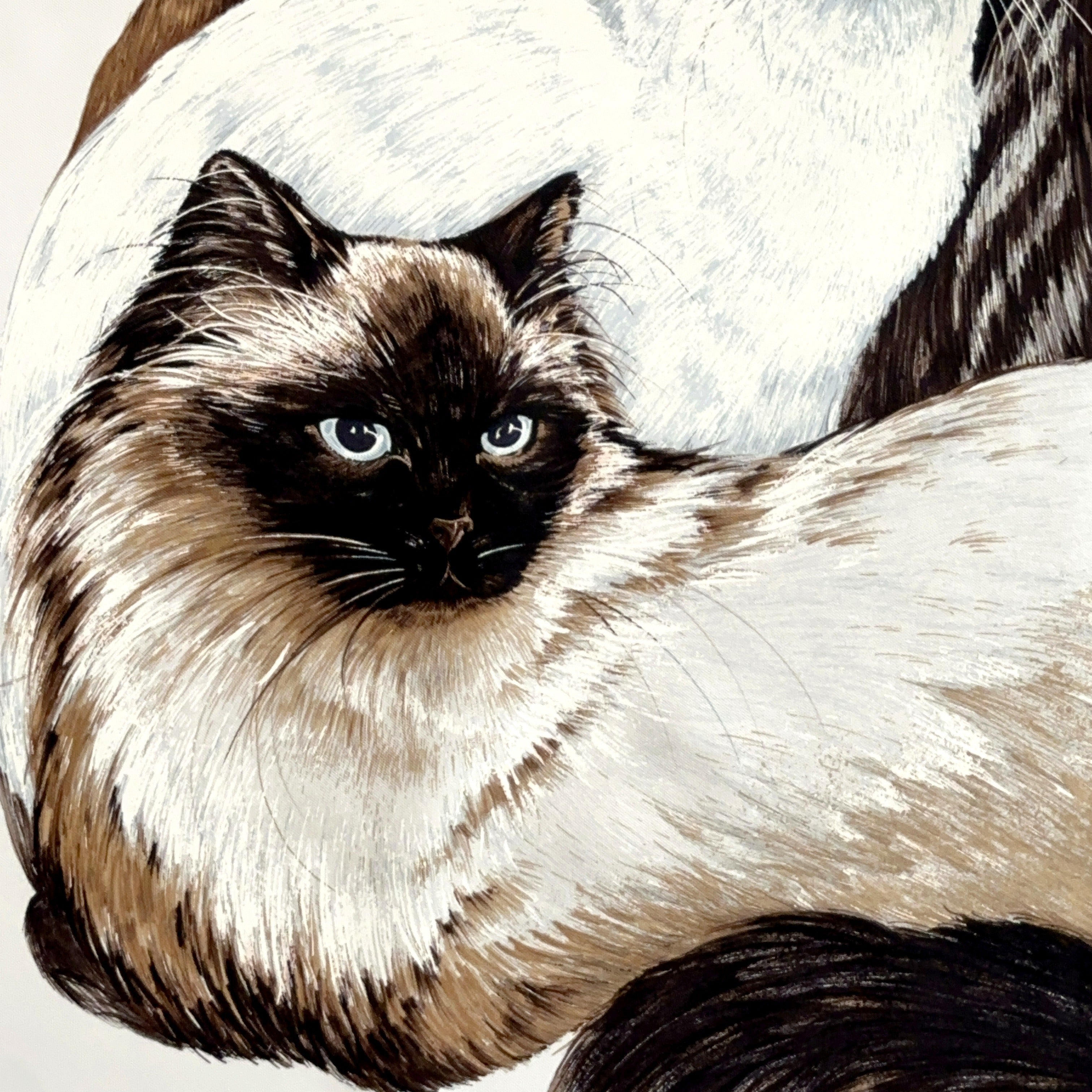 Carré Hermès Les Chats de Daphné Duchesne, 90 cm soie, détail chats siamois, marron, blanc et gris perle